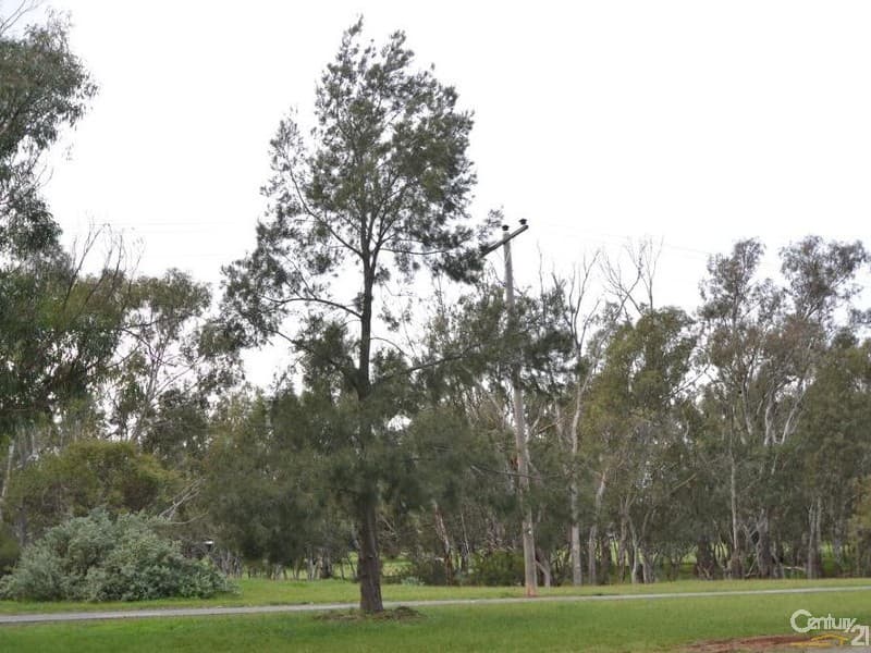 109 Campaspe Esplanade, Echuca, VIC, 3564, Echuca - Thumbnail 2