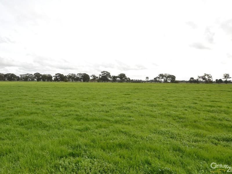 Lot 1 Thyra Rd, Moama, NSW, 2731, Moama - Thumbnail 2