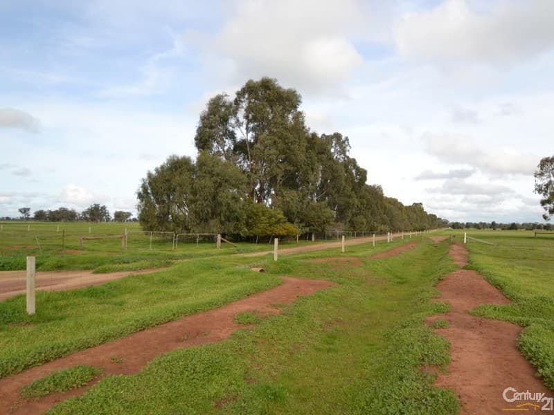 Lot 1 Thyra Rd, Moama, NSW, 2731, Moama - Thumbnail 3