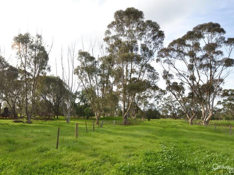 Lot 1 Thyra Rd, Moama, NSW, 2731, Moama - Thumbnail 5