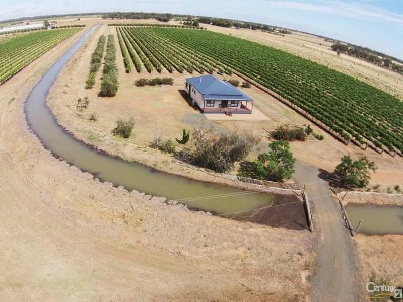 91 Tandarra Road, Moama, NSW, 2731, Moama - Thumbnail 2