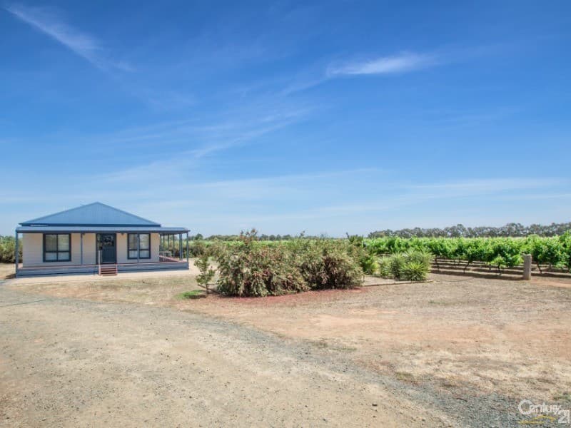 91 Tandarra Road, Moama, NSW, 2731, Moama - Image 1