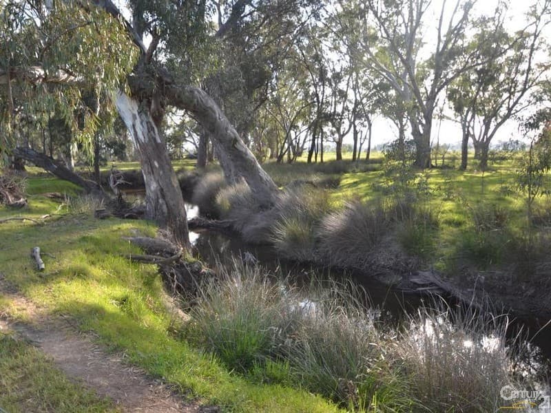 1128 Geodetic Road, Euroa, VIC, 3666, Molka - Thumbnail 2