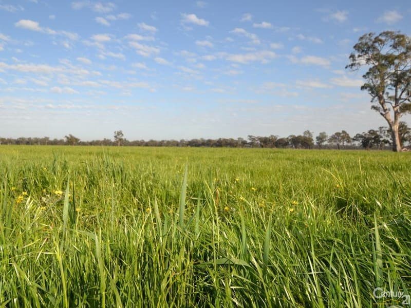 1128 Geodetic Road, Euroa, VIC, 3666, Molka - Thumbnail 3