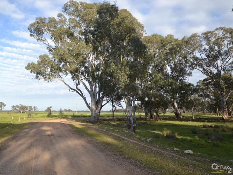 1128 Geodetic Road, Euroa, VIC, 3666, Molka - Thumbnail 4