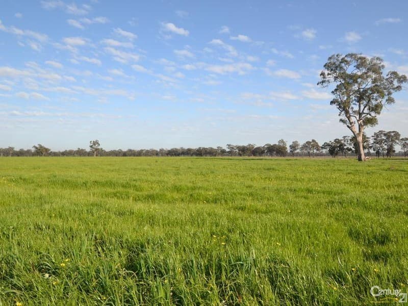 1128 Geodetic Road, Euroa, VIC, 3666, Molka - Thumbnail 5