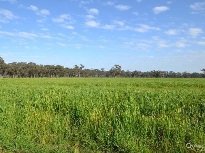 1128 Geodetic Road, Euroa, VIC, 3666, Molka - Thumbnail 6