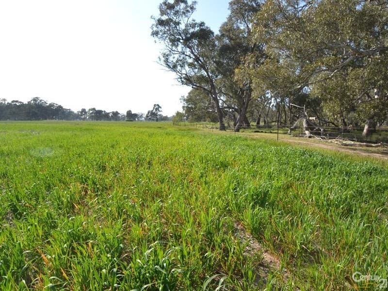 1128 Geodetic Road, Euroa, VIC, 3666, Molka - Thumbnail 7