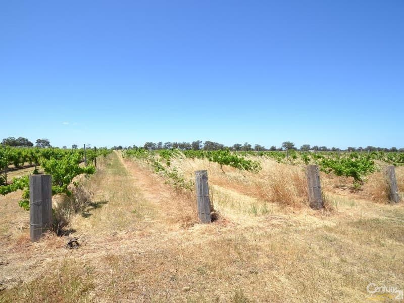 230/233 Tandarra Road, Moama - Thumbnail 2