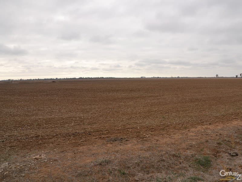 64 McKenzie Road, Echuca, VIC, 3564, Echuca - Thumbnail 4