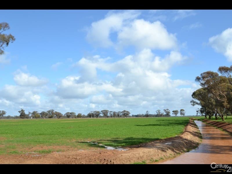 2002 Bunnaloo Road, Mathoura, NSW, 2710, Mathoura - Thumbnail 4