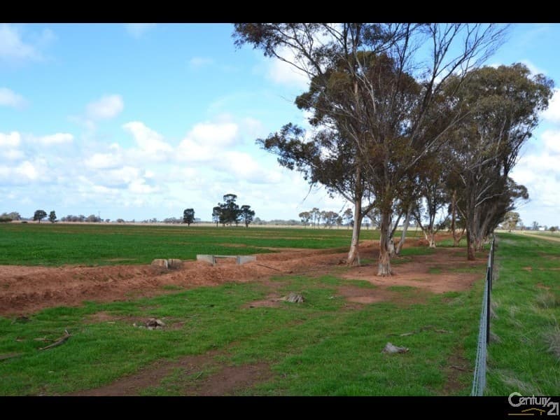 2002 Bunnaloo Road, Mathoura, NSW, 2710, Mathoura - Thumbnail 5