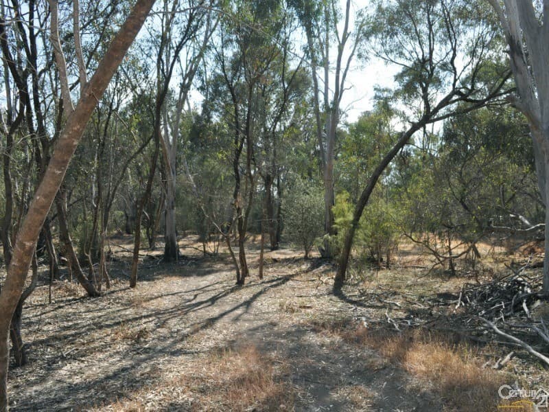 50 Radcliffe Street, Echuca, VIC, 3564, Echuca - Thumbnail 3