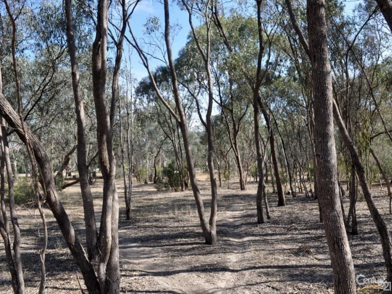50 Radcliffe Street, Echuca, VIC, 3564, Echuca - Thumbnail 2