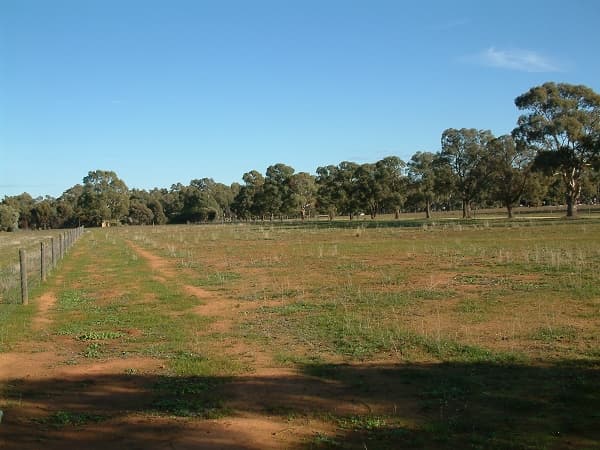 192 Anderson Road, Echuca, VIC, 3564, Echuca - Thumbnail 4