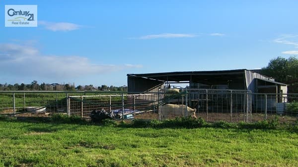 1095 Hansen Rd, Bamawm, VIC, 3561, Bamawm - Thumbnail 7