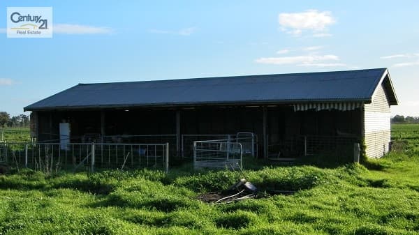 1095 Hansen Rd, Bamawm, VIC, 3561, Bamawm - Thumbnail 8