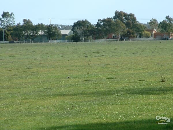 328 McKenzie Road, Echuca, VIC, 3564, Echuca - Thumbnail 4
