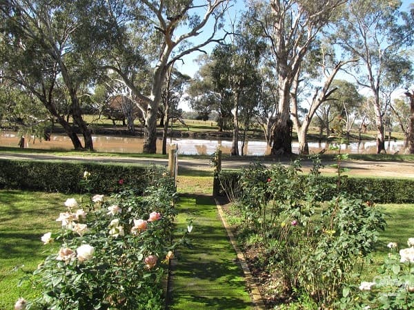969 Hardings Road, Nathalia, VIC, 3638, Nathalia - Thumbnail 3