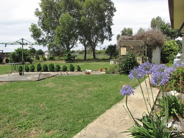 601 Clifton Street, Mathoura, NSW, 2710, Mathoura - Thumbnail 5