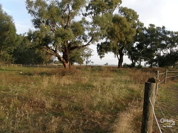 475 Graham Road Nanneella, Echuca, VIC, 3564, Echuca - Thumbnail 4