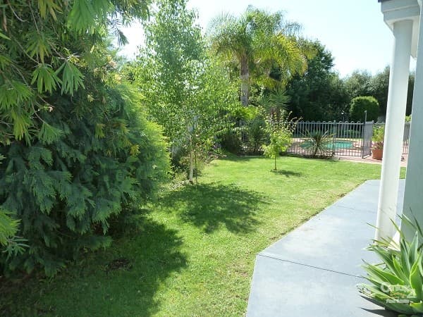 8 Kulgoa Avenue, Moama, NSW, 2731, Moama - Thumbnail 3