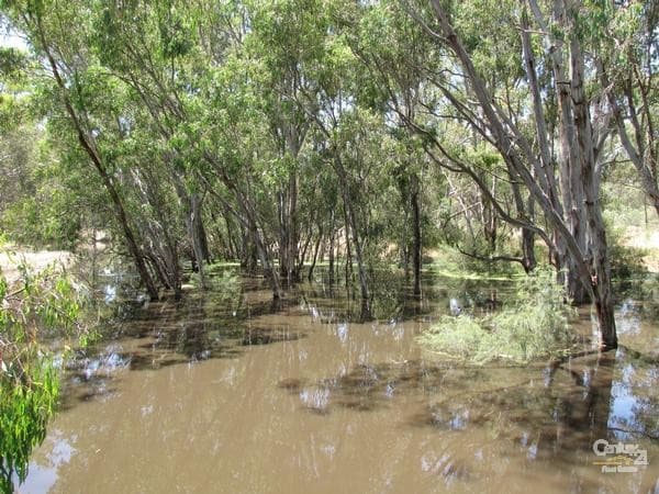 69 Pakenham St, Echuca, VIC, 3564, Echuca - Thumbnail 6