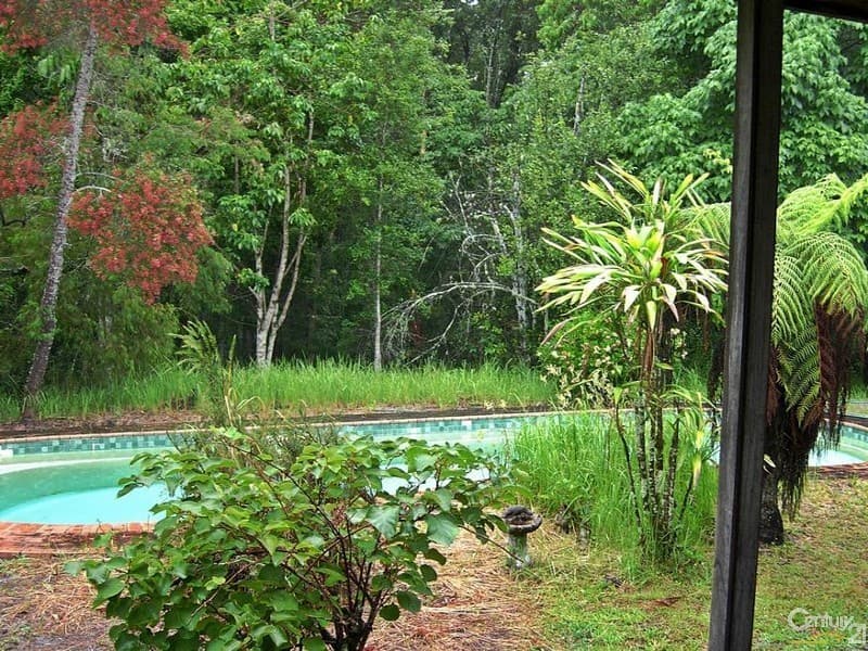 339 Markwell Back Rd, Bulahdelah, NSW, 2423, Bulahdelah - Thumbnail 6