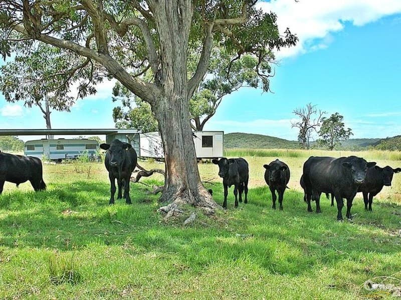 1/71 Marine Drive, Tea Gardens, NSW, 2324, North Arm Cove - Thumbnail 3