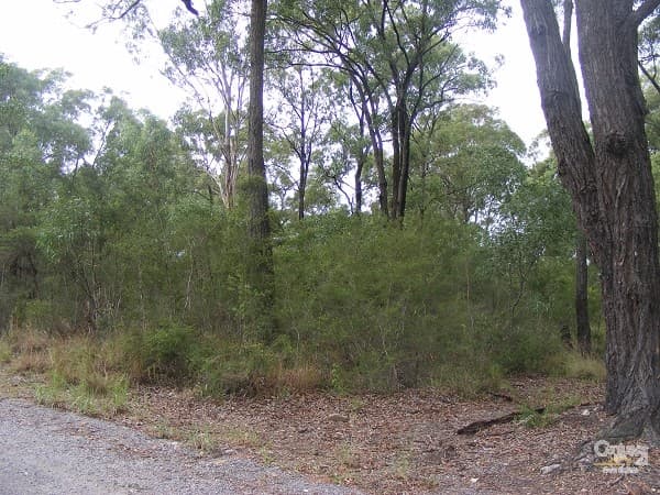 4 Central Ave, Bundabah, NSW, 2324, Bundabah - Thumbnail 3
