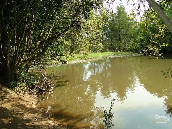 1/71 Marine Drive, Tea Gardens, NSW, 2324, Stroud - Thumbnail 5