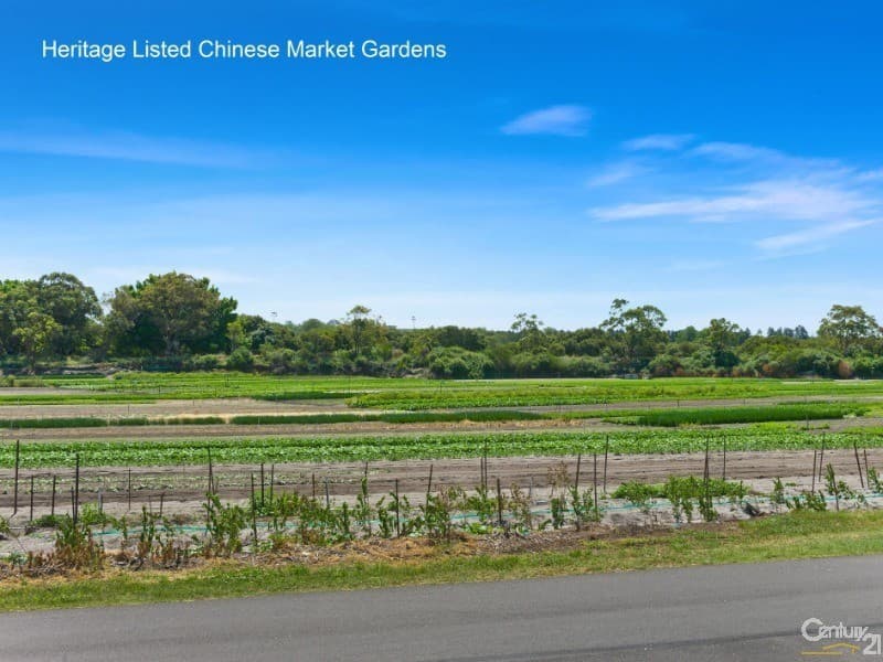 3 Occupation Road, Kyeemagh, NSW, 2216, Kyeemagh - Thumbnail 3