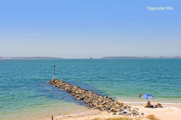 14/157 The Grand Parade, Monterey, NSW, 2217, Monterey - Thumbnail 6