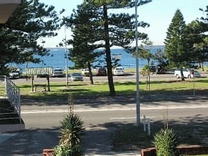 14/159 The Grand Parade, Monterey, NSW, 2217, Monterey - Thumbnail 5