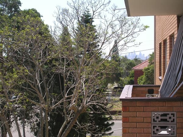 16/16-18 Sellwood Street, Brighton-le-sands, NSW, 2216, Ryanston - Thumbnail 4