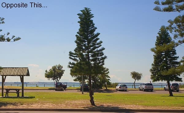 25/157 The Grand Parade, Monterey, NSW, 2217, Monterey - Thumbnail 5