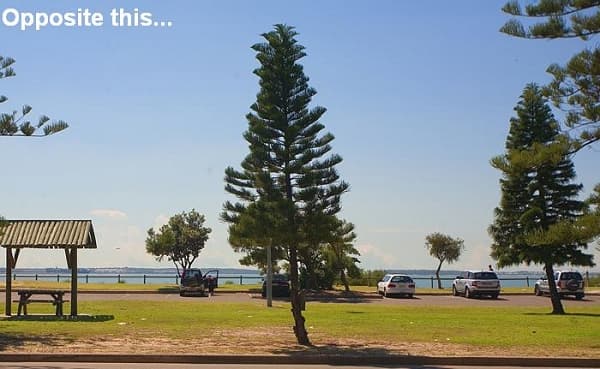 14/157 The Grand Parade, Monterey, NSW, 2217, Monterey - Thumbnail 6