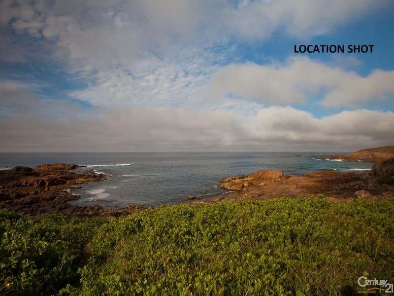 24 Kingsley Drive, Boat Harbour, NSW, 2316, Boat Harbour - Thumbnail 4