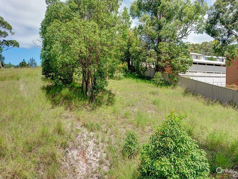 17 Donald Street, Nelson Bay, NSW, 2315, Nelson Bay - Thumbnail 2