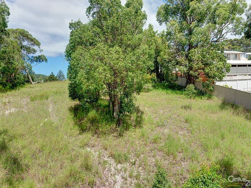 17 Donald Street, Nelson Bay, NSW, 2315, Nelson Bay - Thumbnail 6