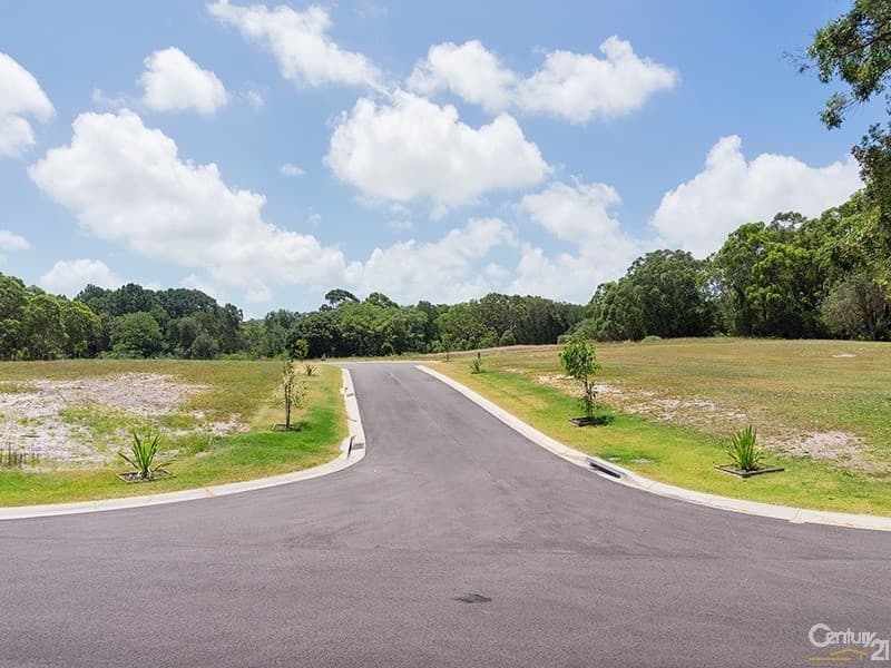 4 Samurai Grove, One Mile, NSW, 2316, One Mile - Thumbnail 4