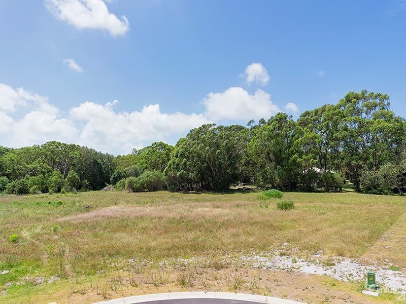 4 Samurai Grove, One Mile, NSW, 2316, One Mile - Thumbnail 6
