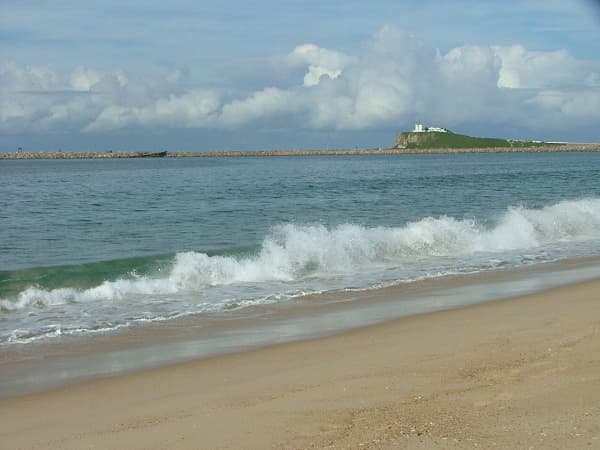 Shop 2, 24 Donald Street, Nelson Bay, NSW, 2315, Stockton - Thumbnail 2