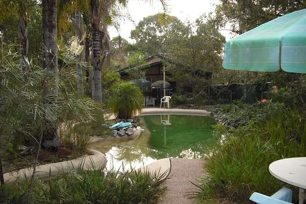 Address Withheld, Medowie, NSW, 2318, Medowie - Thumbnail 2