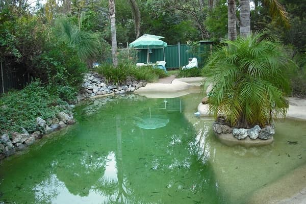 Address Withheld, Medowie, NSW, 2318, Medowie - Thumbnail 4