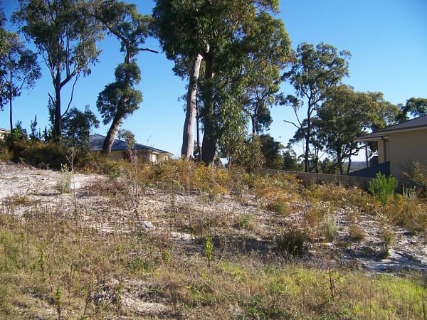 Shop 2, 24 Donald Street, Nelson Bay, NSW, 2315, Corlette - Image 1