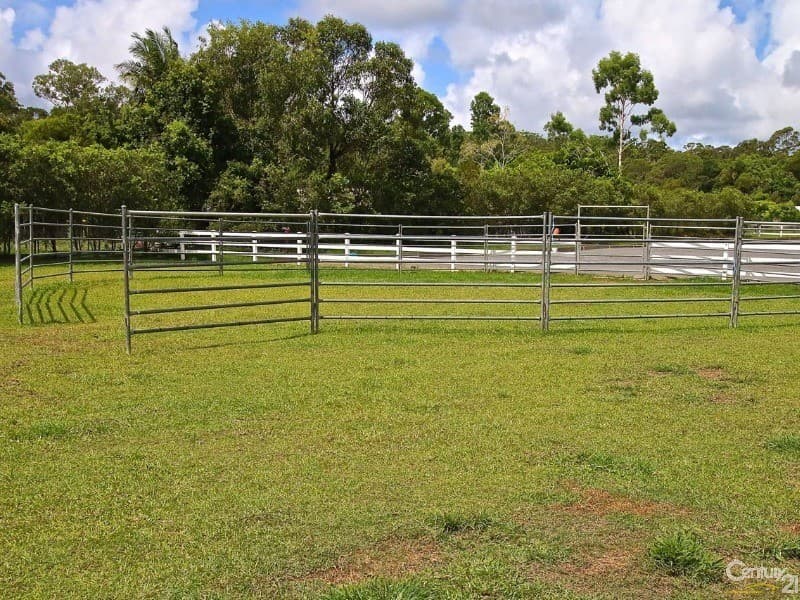 45 Lawnville Road, Cooroy, QLD, 4563, Cooroy - Thumbnail 5