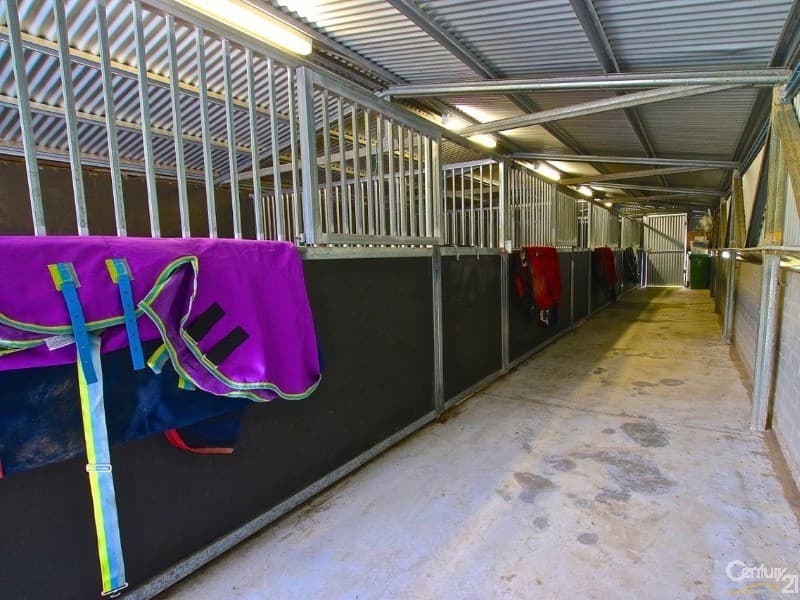 45 Lawnville Road, Cooroy, QLD, 4563, Cooroy - Thumbnail 7