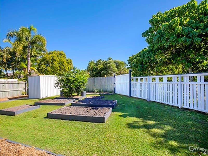 16 Mountain Ash Drive, Mountain Creek, QLD, 4557, Mountain Creek - Thumbnail 8