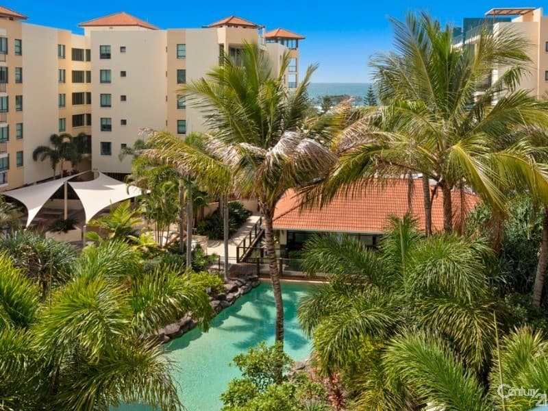 536/21 Wirraway Street, Alexandra Headland, QLD, 4572, Alexandra Headland - Thumbnail 4